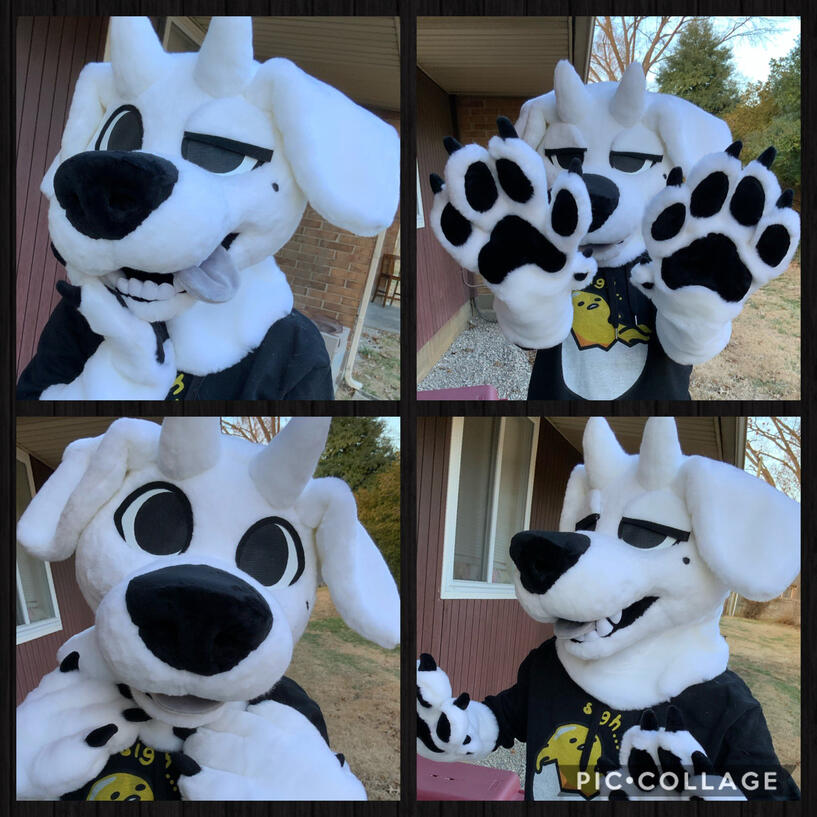 Seb for Sebdoggo! Seb for Sebdoggo!